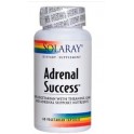 Solaray Adrenal Success 60 capsulas