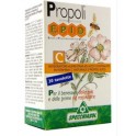 Specchiasol Epid C + Rosa + Propoleo 30 masticables