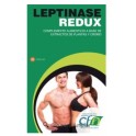  CFN Leptinase Redux