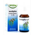 Eucalyptus Globulus Aceite Esencial Bio 50ml Biover